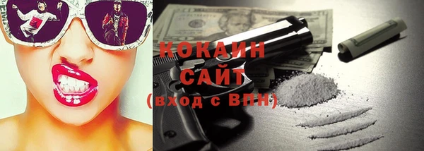 сатива Арсеньев