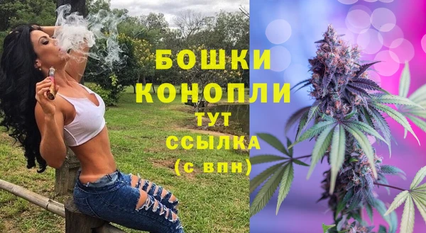 сатива Арсеньев
