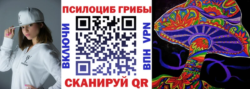 это клад  Балабаново  Галлюциногенные грибы MAGIC MUSHROOMS 
